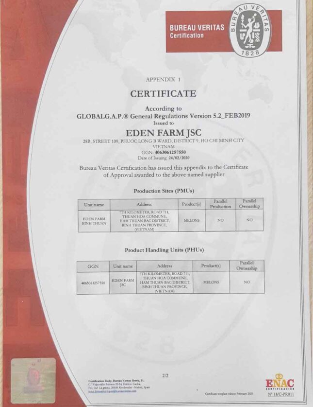 Farm dưa lưới sạch tại EdenFarm - Bình Thuận