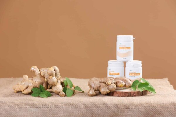 GINGER POWDER 6-SHOGAOL/ 姜粉 6-SHOGAOLS - Hình ảnh 2