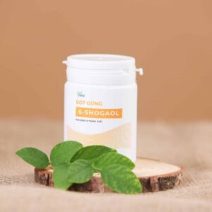 GINGER POWDER 6-SHOGAOL/ 姜粉 6-SHOGAOLS