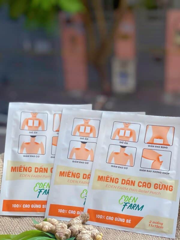 EDEN FARM PAIN RELIEF PATCH EDEN FARM 暖姜贴 - Hình ảnh 2